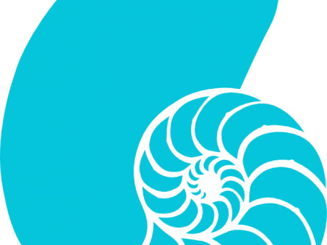 Clipart Wallpaper Blink - Nautilus Shell Clipart (640x480), Png Download