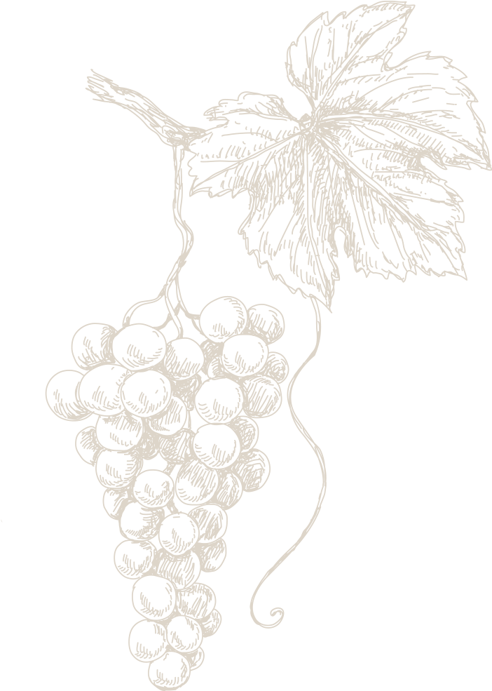 Technical Data Sheet - Sketch (1000x1000), Png Download