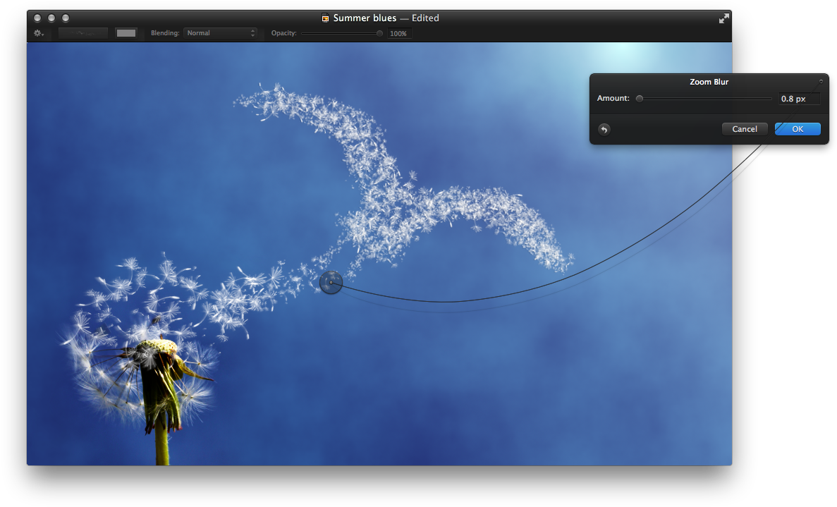 Step - Herb (1226x737), Png Download