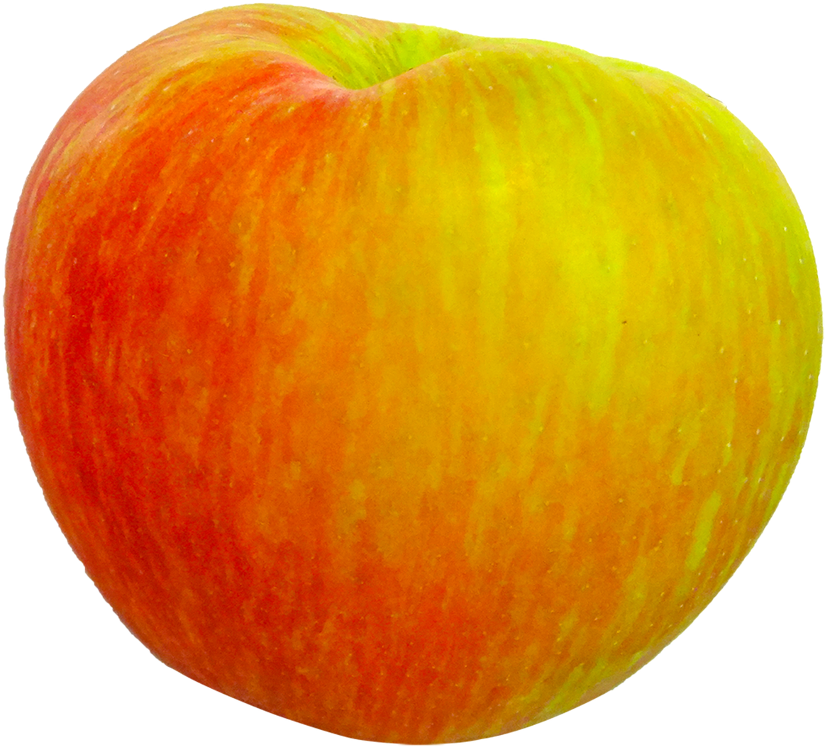 Honeycrisp Apple Fruit Food Png Image - Mcintosh (1280x1200), Png Download