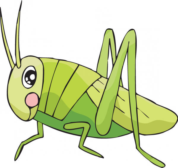 Coloring Sheets For Kids Cricket Learn To Draw By How - Cricket Insect Drawing Easy (600x568), Png Download