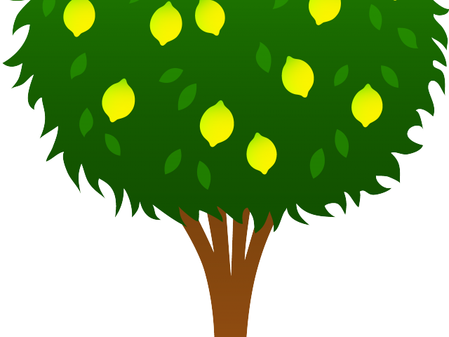 Tree X Carwad Net - Blackberry Tree Clip Art (640x480), Png Download