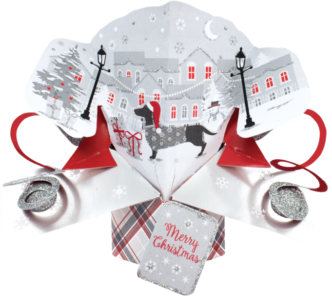 Second Nature Xmas Petite Pop Ups - Airplane (800x627), Png Download