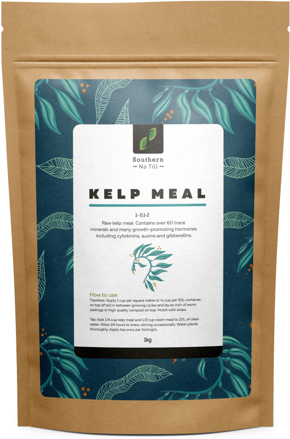 Kelp Meal - Assam Tea (1024x1024), Png Download