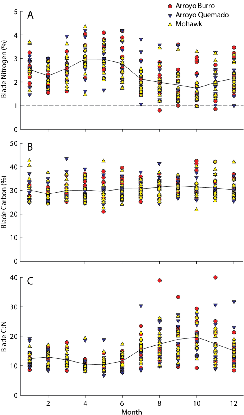 Annual Cycle Of Giant Kelp Blade Nitrogen Content As - Number (850x1441), Png Download