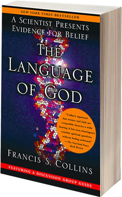 Learn More - Graphic Design (1200x812), Png Download