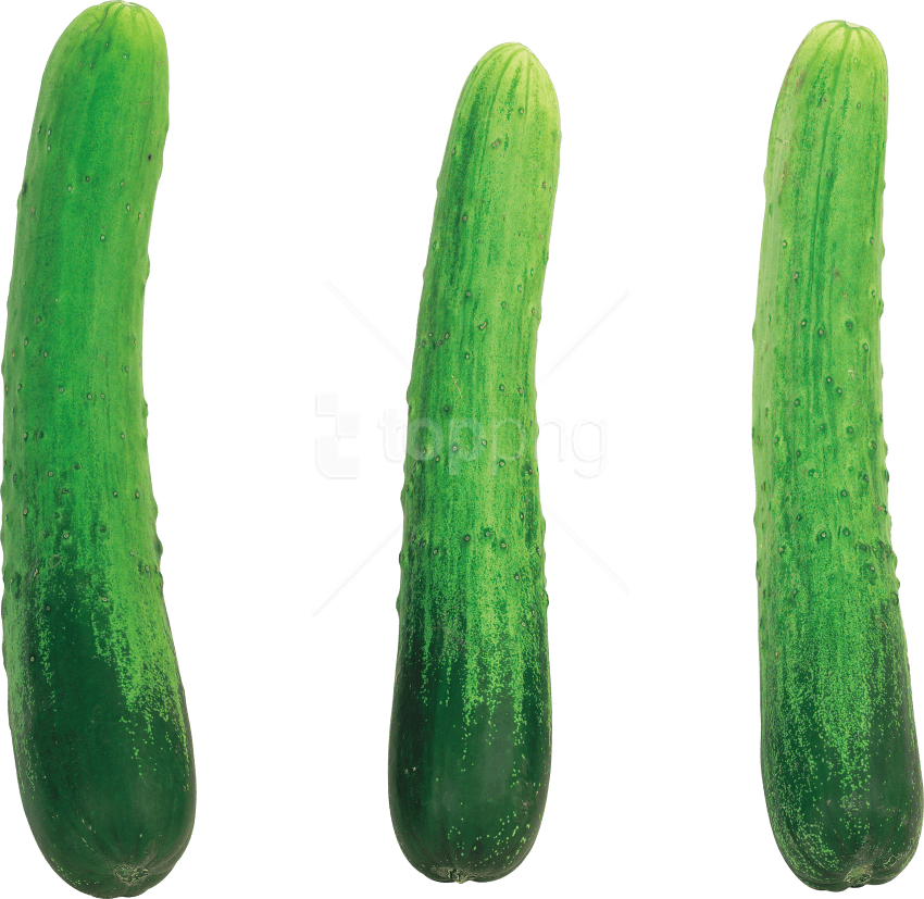 Download Cucumber Png Images Background - Cucumber (850x827), Png Download