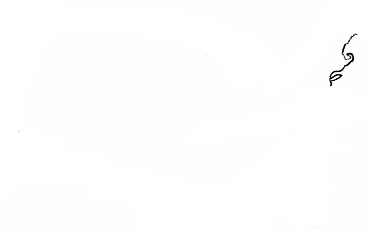 United States Map Outline (736x456), Png Download