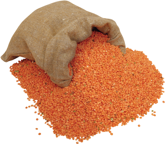 Lentils In Sack - Bolsa De Semillas Png (866x650), Png Download
