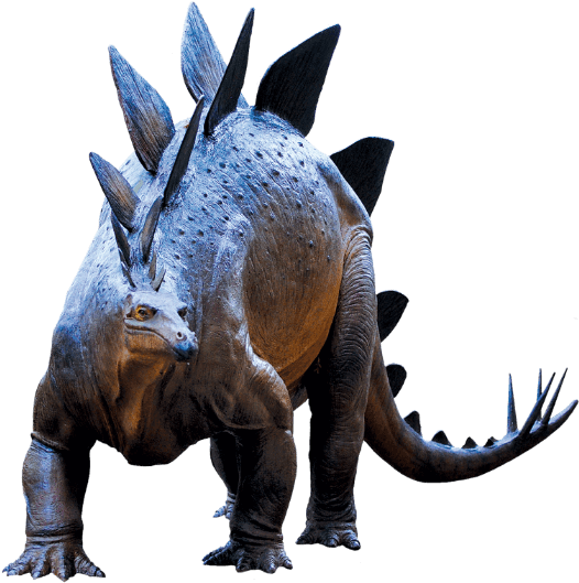 Pterosaurs Special Exhibit - Triceratops (630x562), Png Download