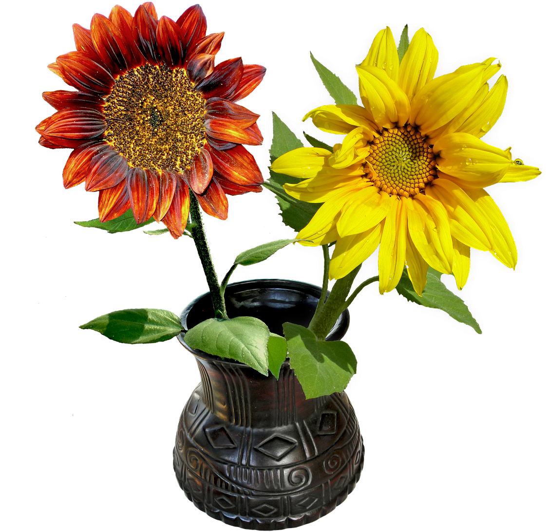 Vase Flowers Sunflowers Png Image - Vase (1122x1280), Png Download