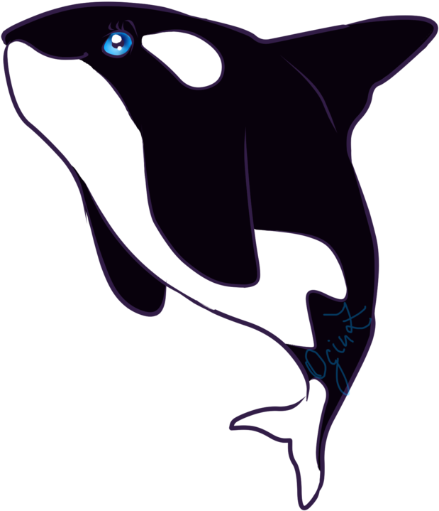 Rp Chibi By - Killer Whale Chibi (900x863), Png Download