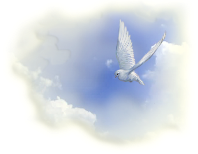 Deseamos De Corazón Darles La Bienvenida A Nuestro - Pigeons And Doves (731x529), Png Download