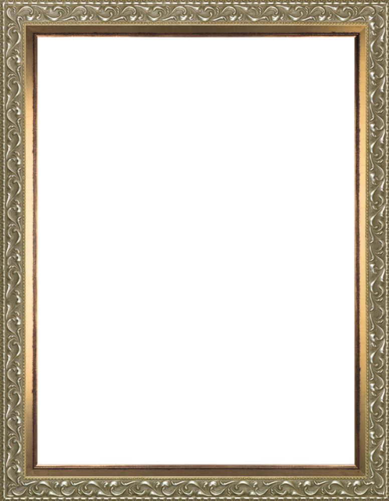 Rococo Silver And Burnished Gold Custom Stacked Frame - Gold And Silver Frame Png (776x1000), Png Download