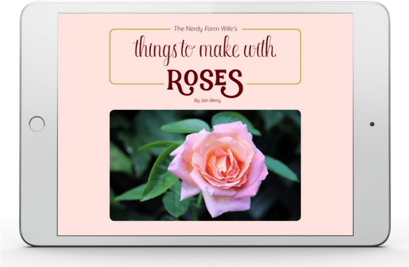 Check Out Jan Berry's Ebook “things To Make With Roses” - Rose (800x549), Png Download