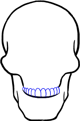 How To A Skull Step By Tutorial - Drawing (678x600), Png Download