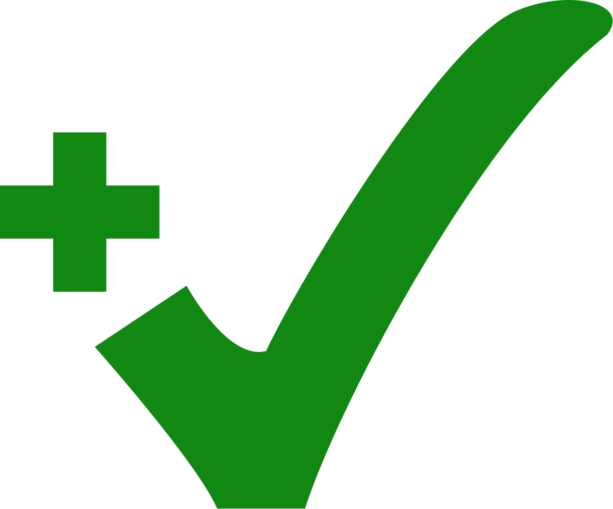 Green Check Plus - Check Plus Clipart (1232x1024), Png Download
