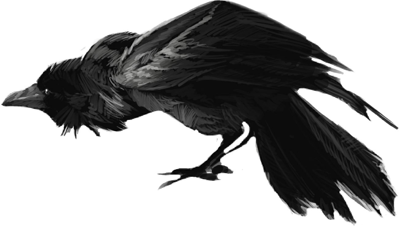 Banner Download Crow Clipart Scary - Raven Drawing (1301x739), Png Download