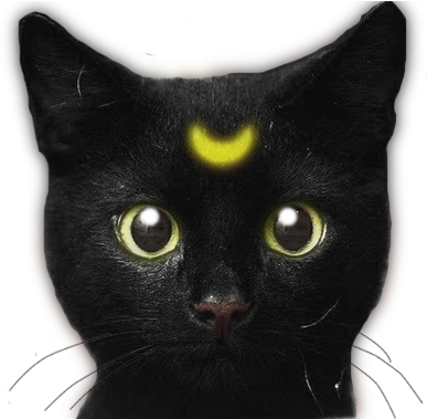 The Edited Scary Shit Tumblr Cat - Unique Vintage Glass Time Jewelry Cat Necklace 3 Pendant (400x378), Png Download