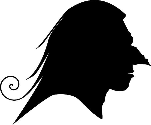 Creepy, Demon, Halloween, Monster, Profile, Scary - Perfil De Una Bruja (640x529), Png Download