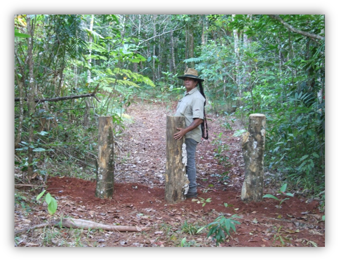 Work At A Restoration Site, Daintree October - October (704x544), Png Download