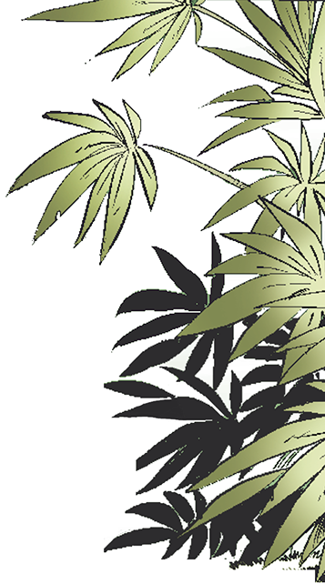 Jungle (357x642), Png Download