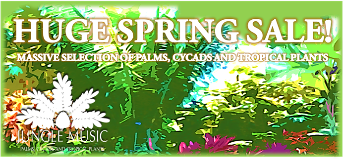 Banner Spring Sale - Sales (750x332), Png Download