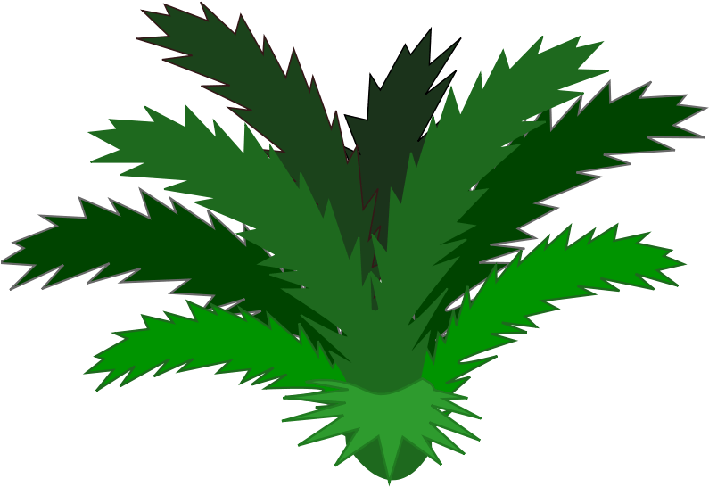 Jungle Plant Clip Art Clipart Free Download - Cycad Clipart (800x609), Png Download