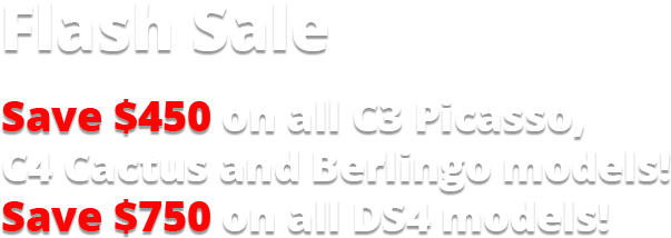 Flash Sale Web Slider1 - Calligraphy (650x300), Png Download