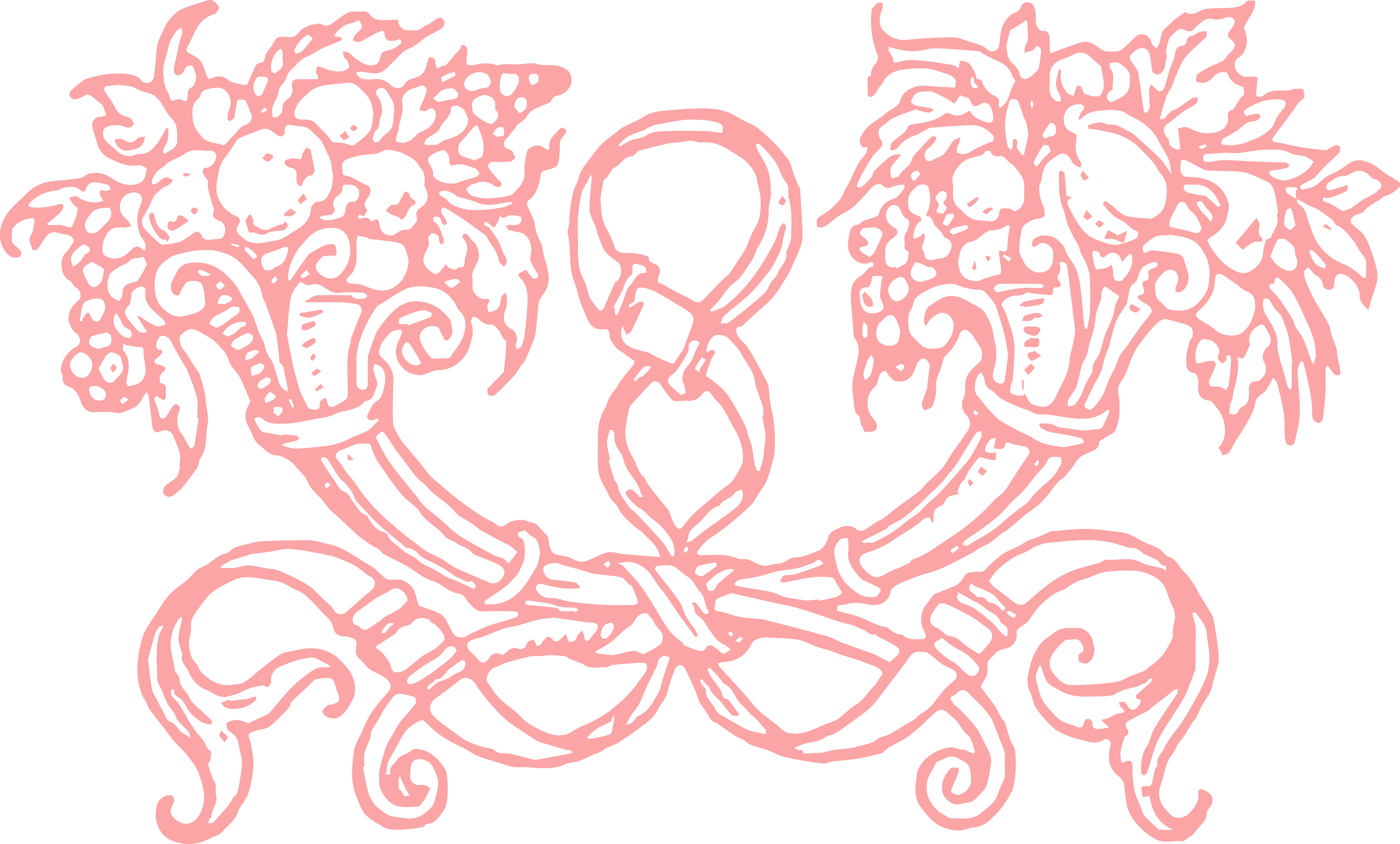 Clipart Freeuse Download Free Stock Clip Art Decorative - Vector Ornament Png Pink (4031x2432), Png Download