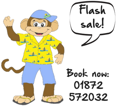 Funky Monkey Flash Sale Reductions Summer July - Adictiz Box (400x400), Png Download
