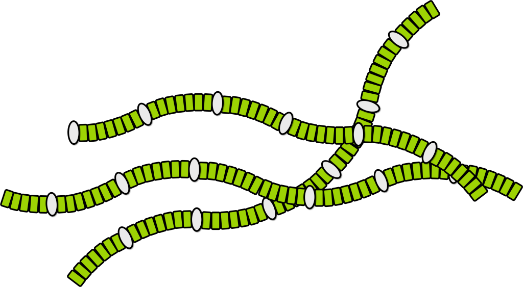 So, It Is Possible To Produce Complex Molecules, Such - Illustration (1024x563), Png Download