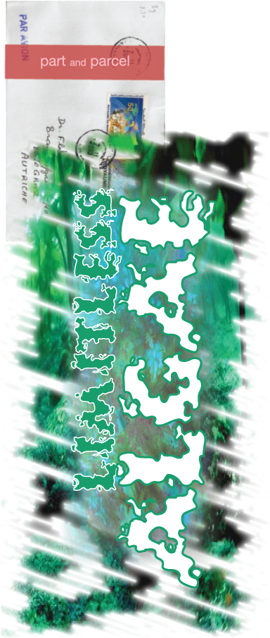 Limitless Algae - Red Flower Journal (384x945), Png Download