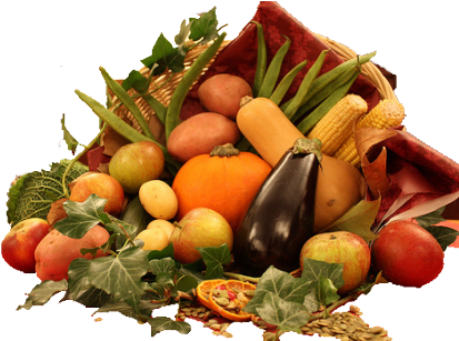 2014 Big Garden Harvest Report Shows Impact (440x306), Png Download