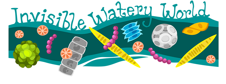 Invisible Watery World Subheader - Phytoplankton Logo (550x242), Png Download