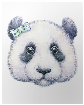 Póster Panda On White Background - Art Print: Margaritash's Water Color Drawing (400x400), Png Download