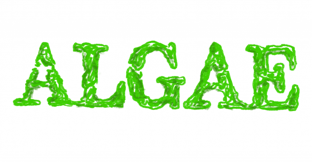 What Do Rock Climbing, Flea Prevention, And Chocolate - Stencil (1024x533), Png Download