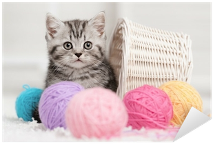 Kitten In A Basket With Balls Of Yarn Sticker • Pixers® - Ravensburger Puzzles With Cats (400x400), Png Download