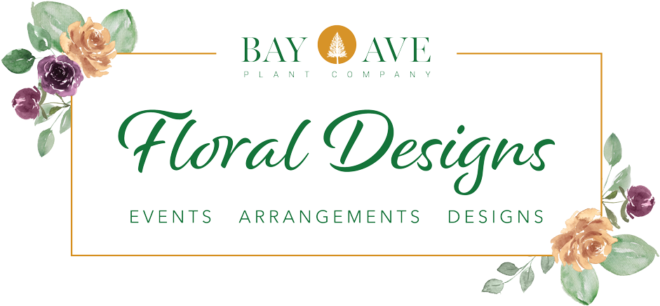 Bay Ave - Calligraphy (1000x485), Png Download