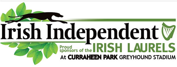 Win A Night At The Irish Independent Irish Laurels - Irish Independent (620x300), Png Download