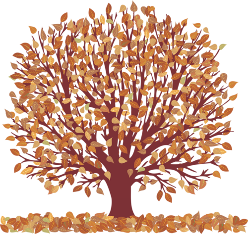 Осень-71 - Fall Tree With Leaves Png (500x475), Png Download