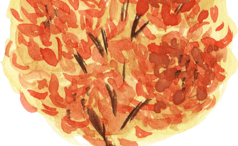 12 Watercolor Tree Onlygfxcom - Watercolor Painting (800x491), Png Download