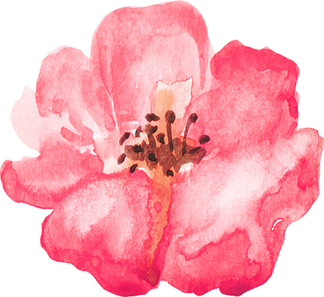 Thanks For Visiting My Page - Prickly Rose (468x429), Png Download