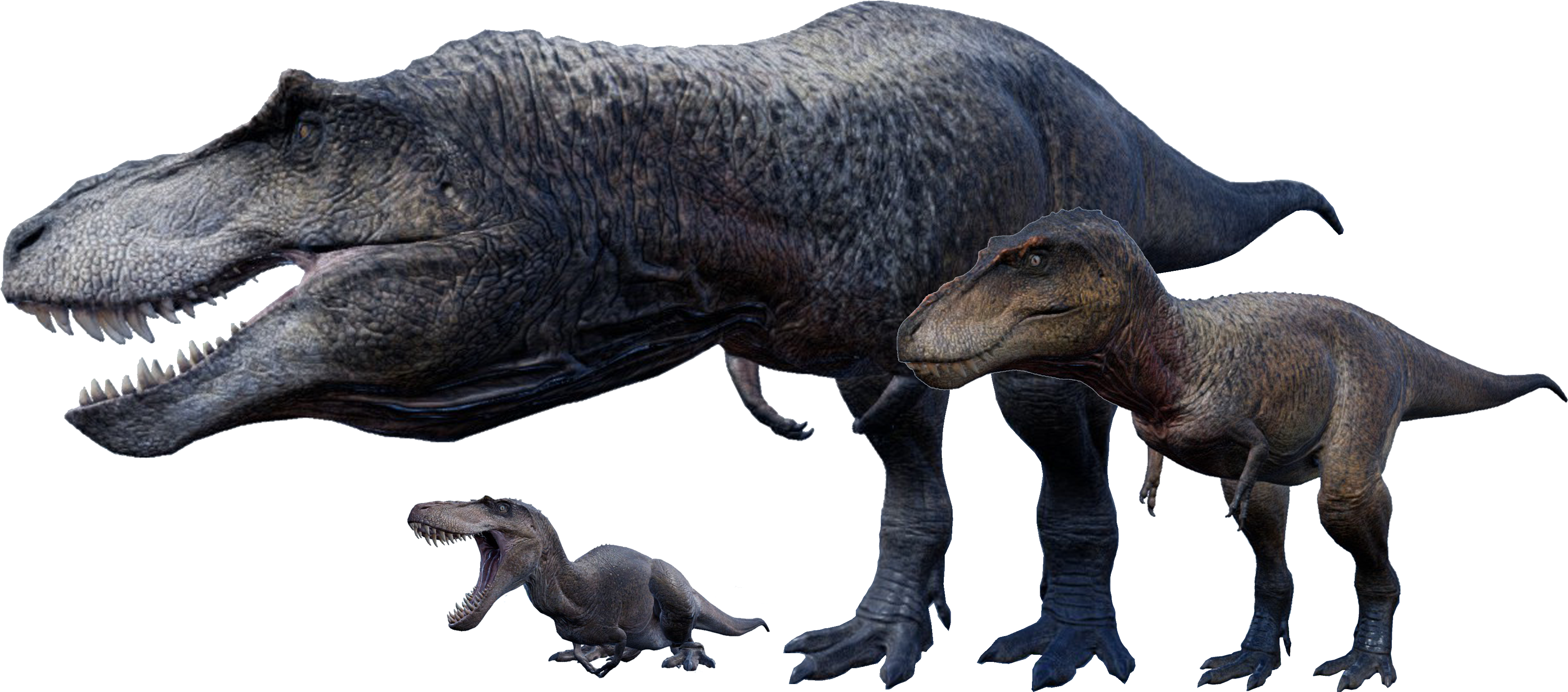 T Rex New Models - T Rex The Isle (3840x1799), Png Download