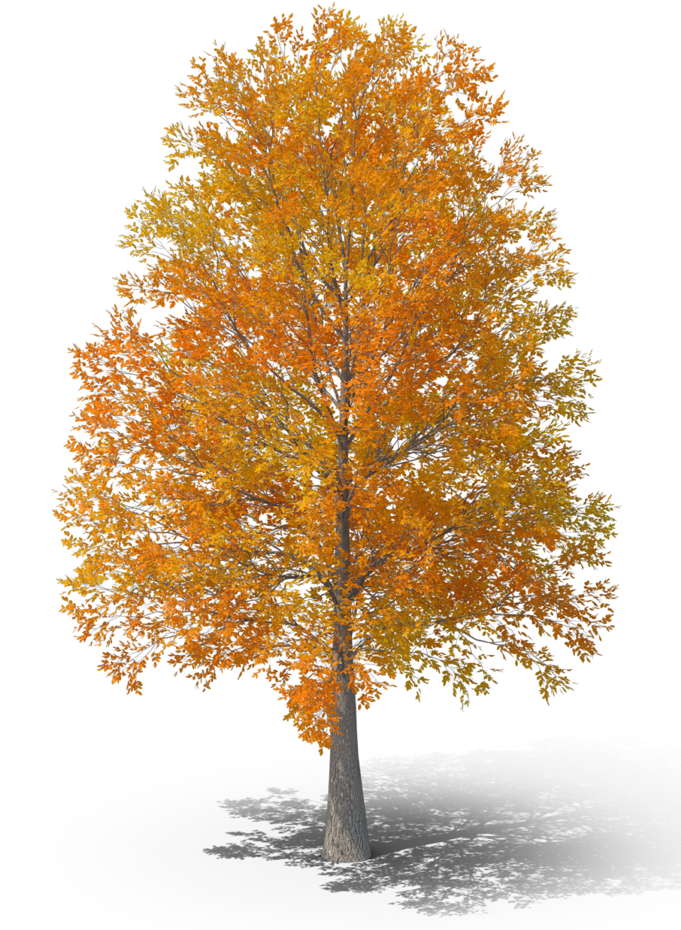 Astronomy Fact Of The Day - Grove (960x1344), Png Download