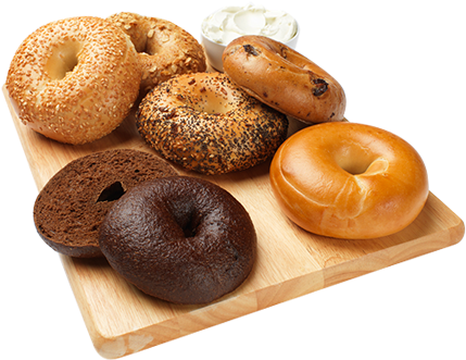 Contrary To Some Beliefs, The Bagel Was Not Created - Bruce & Hobbes (500x350), Png Download