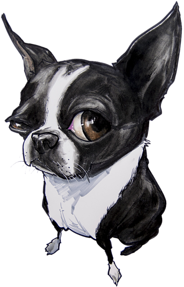 Bleed Area May Not Be Visible - Boston Terrier Drawing (600x604), Png Download