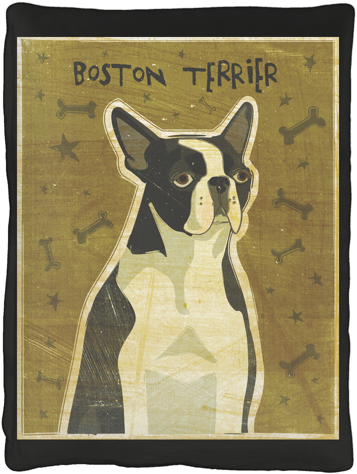 Stretched Canvas Print: Golden's Boston Terrier, 20x20in. (1024x1024), Png Download