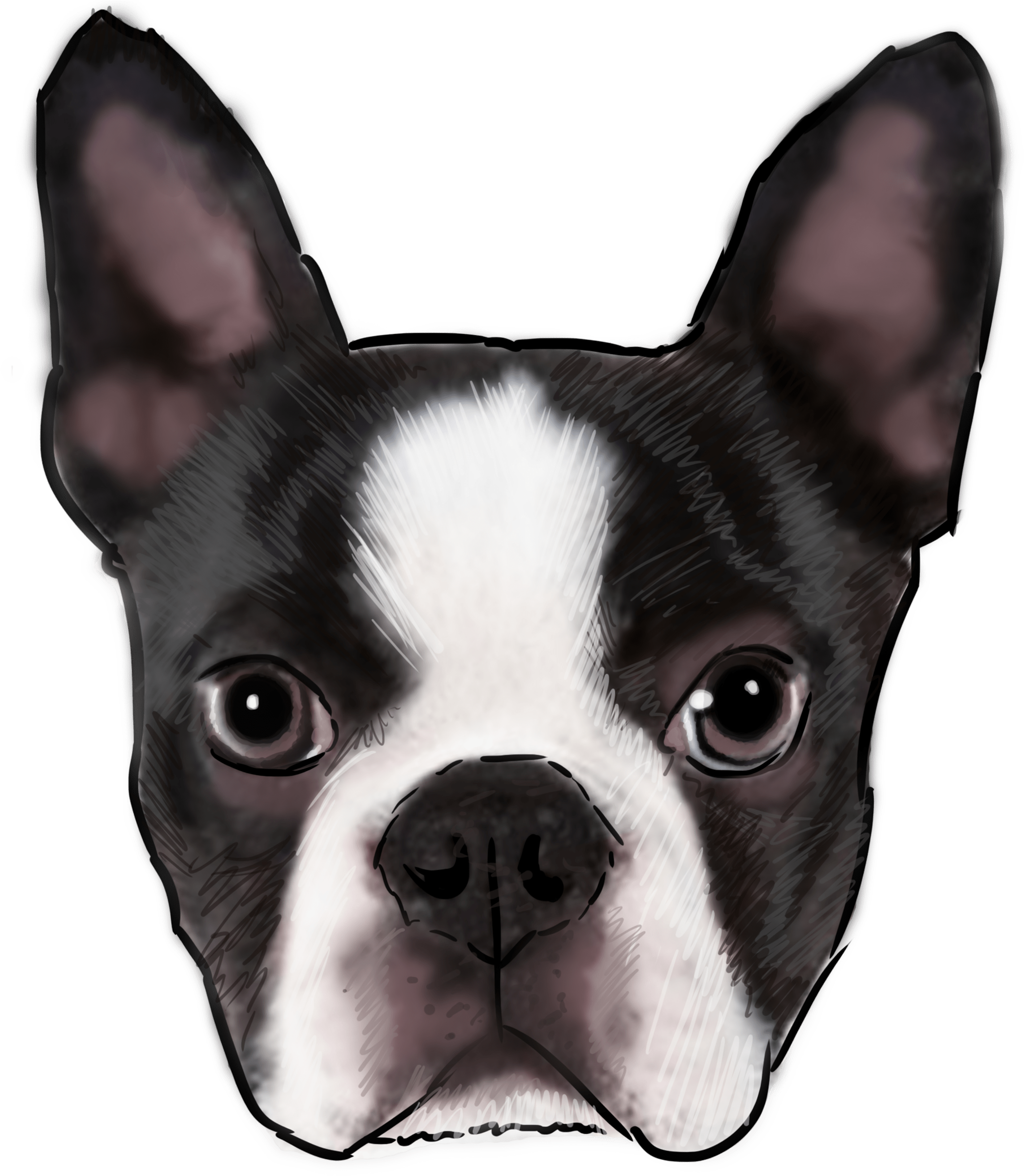 Boston Terrier (3000x3000), Png Download