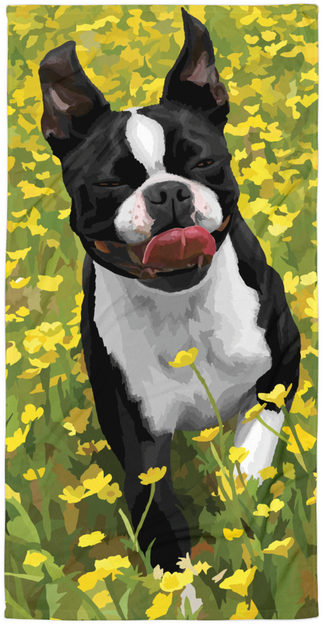 Abigail The Boston Terrier - Boston Terrier (1000x1000), Png Download